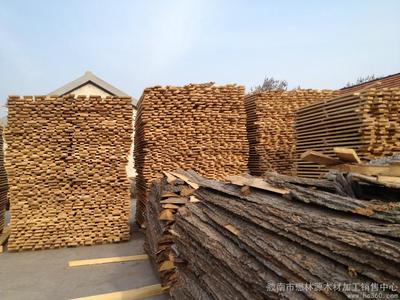 膠南市懋林源木材加工銷售中心 優(yōu)質(zhì)木材銷售服務(wù)專家