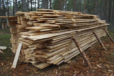 開辟新徑，廣開材路 木材銷售渠道拓展與銷量提升策略