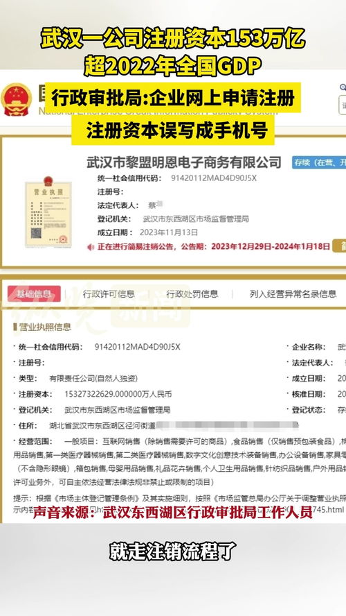 武漢一公司注冊資本高達153萬億 官方回應(yīng) 企業(yè)注冊時誤寫成手機號